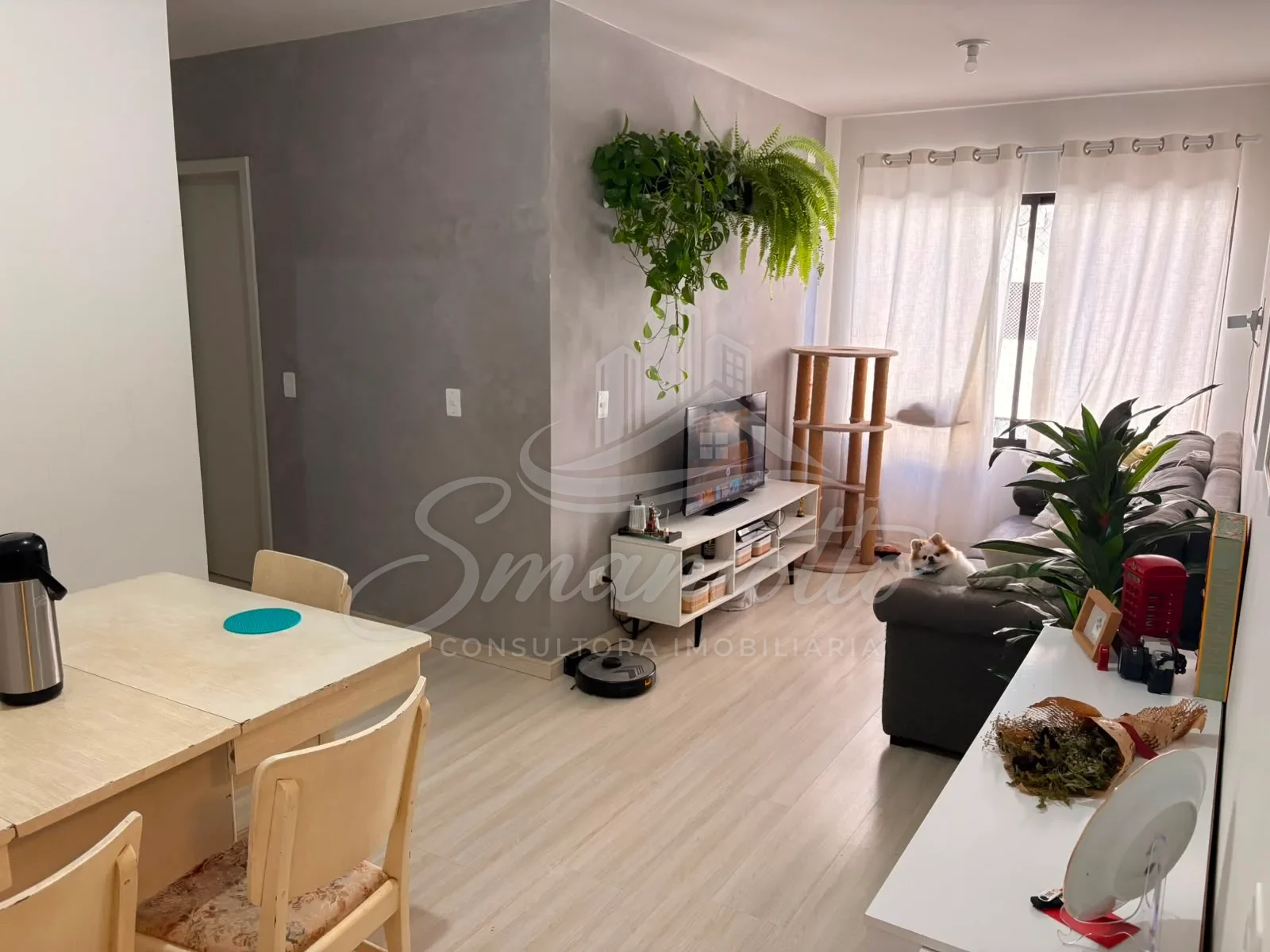 Apartamento semimobiliado com 2 quartos no Pioneiros Catarinenses, foto 1